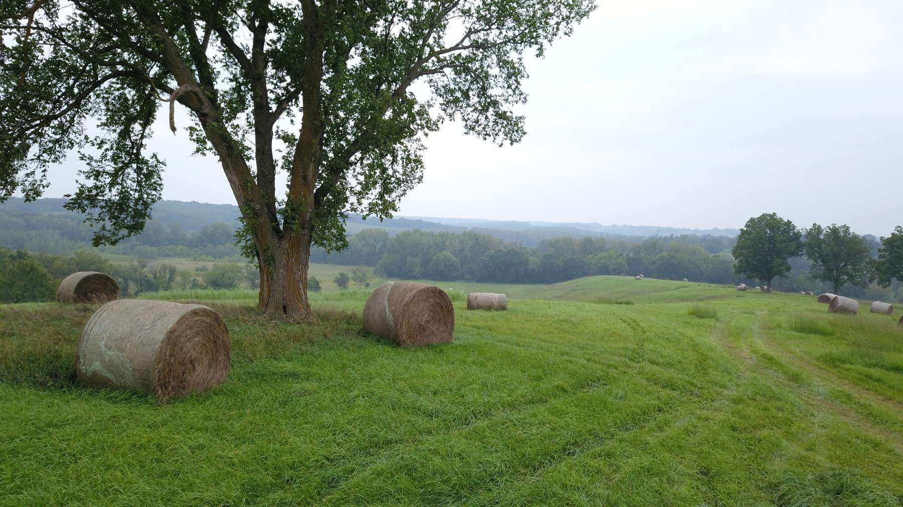 40 Acres in New Boston, MO