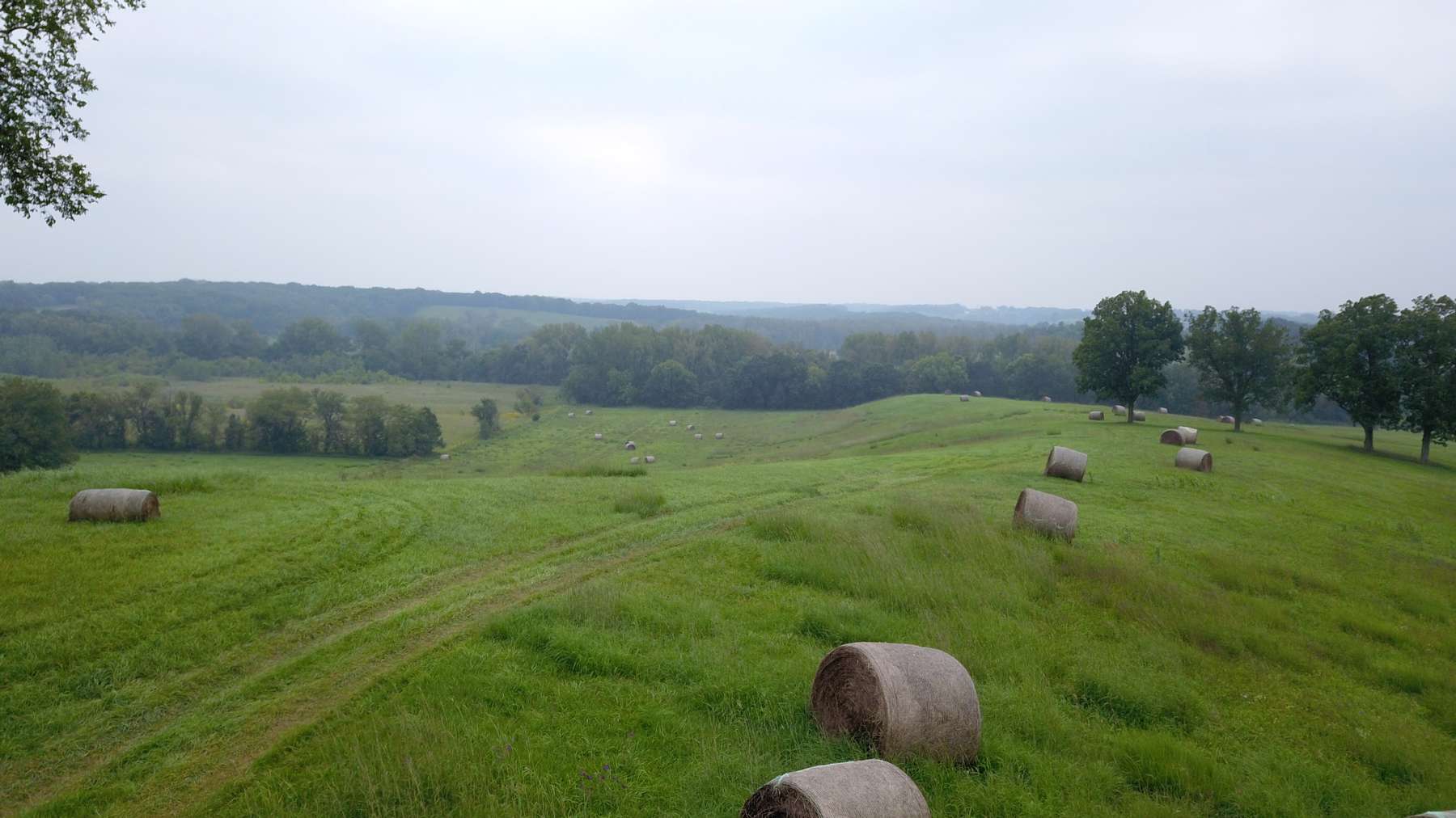 40 Acres in New Boston, MO