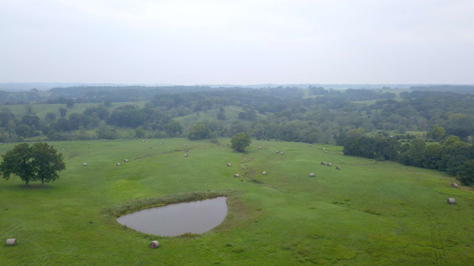 40 Acres in New Boston, MO