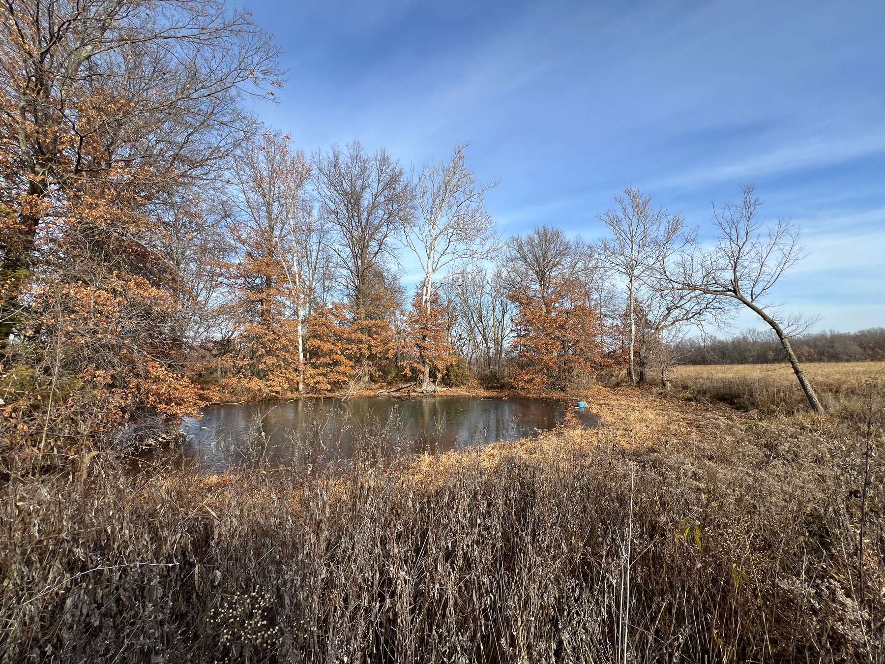 65 +/ Acres in Clifton Hill