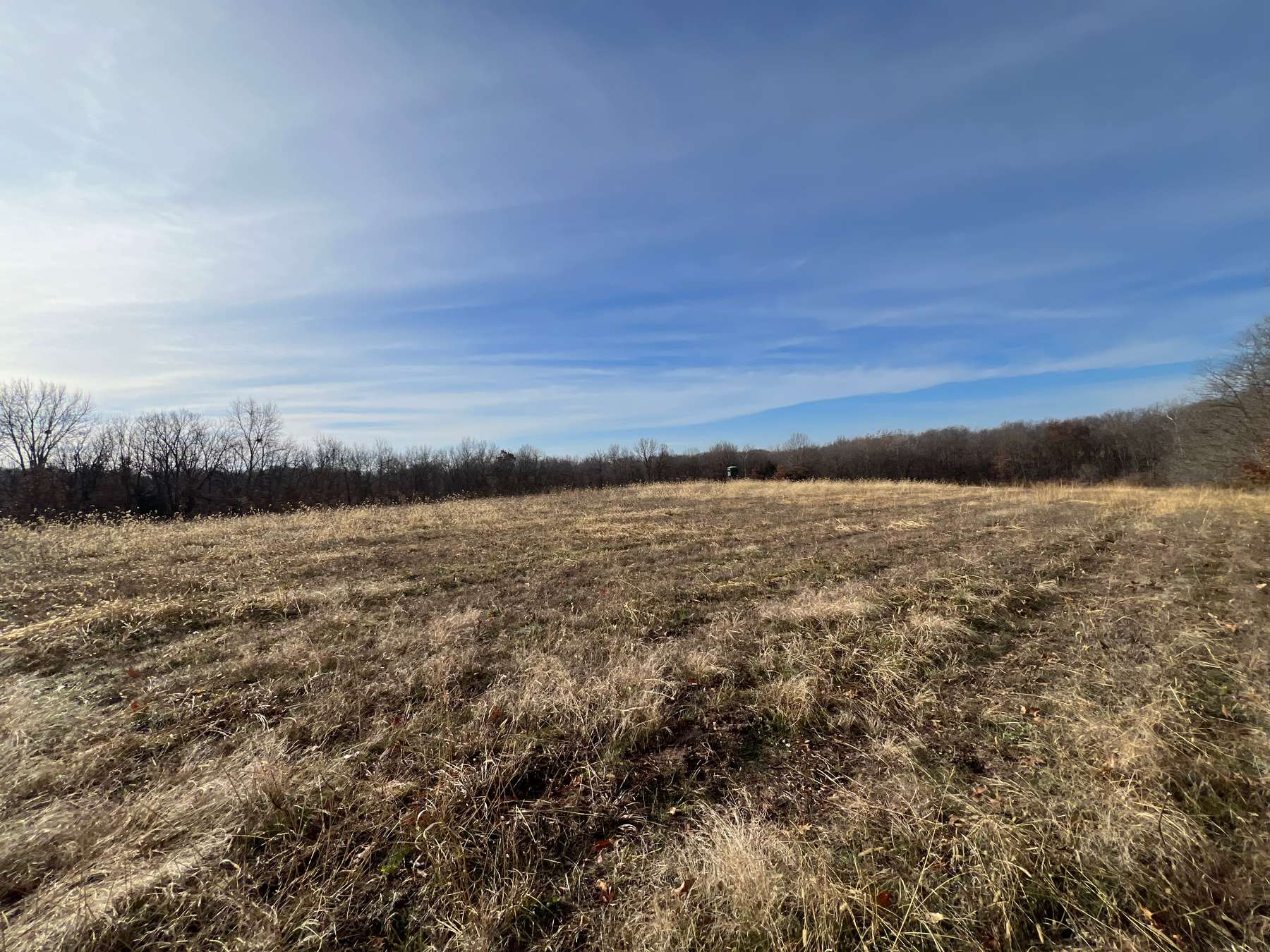 65 +/ Acres in Clifton Hill