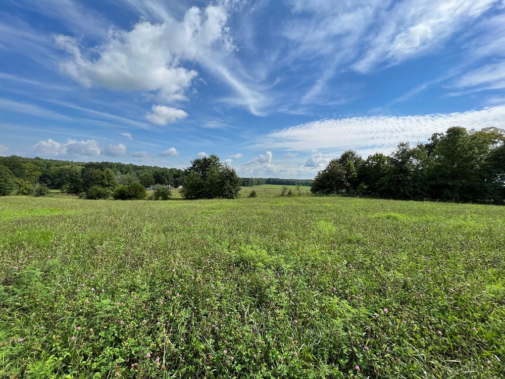 95 Acres Clarence, Shelby County, MO