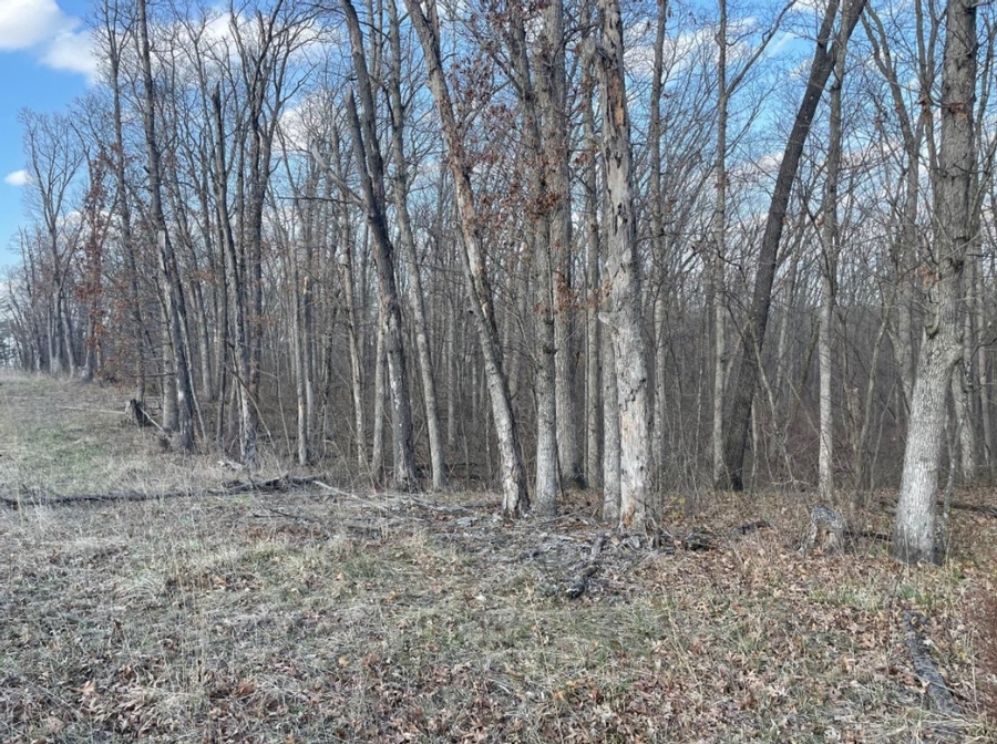 5.7 Acres 13230 State Hwy O Green Castle, MO