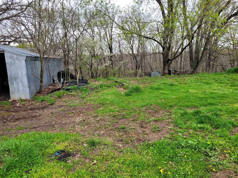 40 Acres 11953 Apollo Bucklin, MO