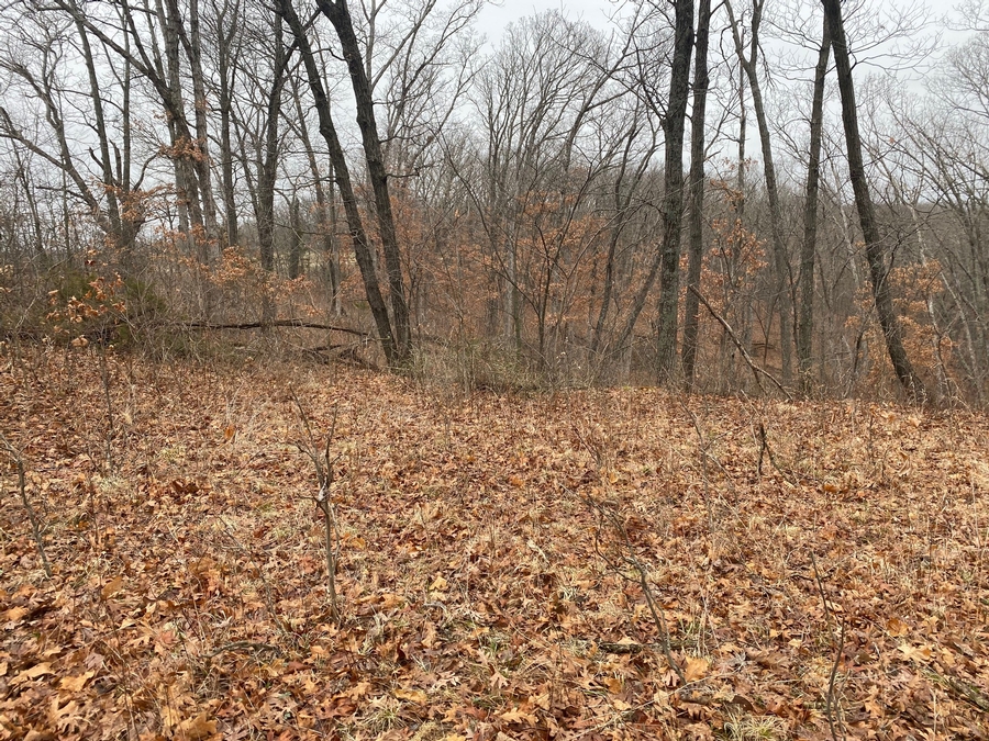 3.5 Acres in Elmer, MO