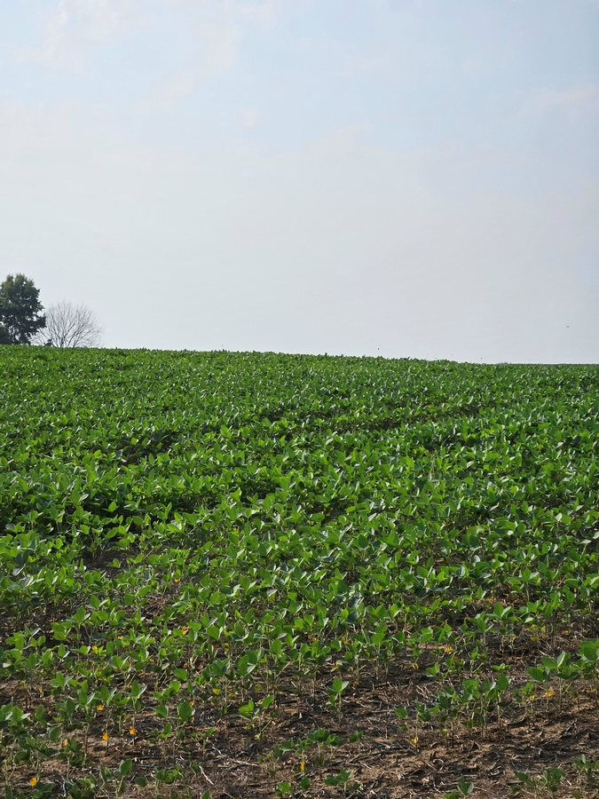 Missouri Hunting Land For Sale Northern Missouri Hunting Property