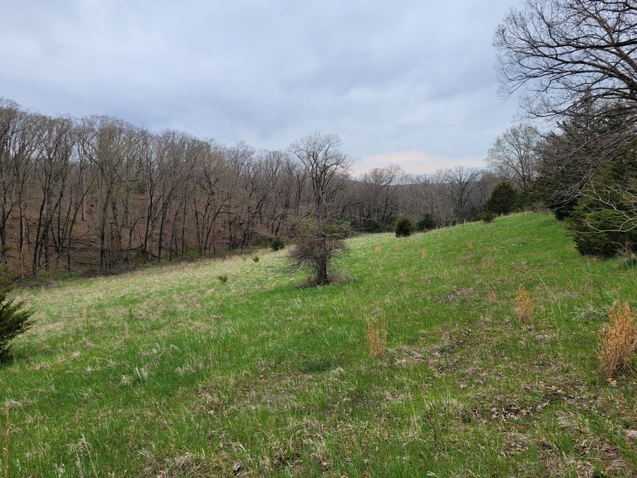 40 Acres 11953 Apollo Bucklin, MO