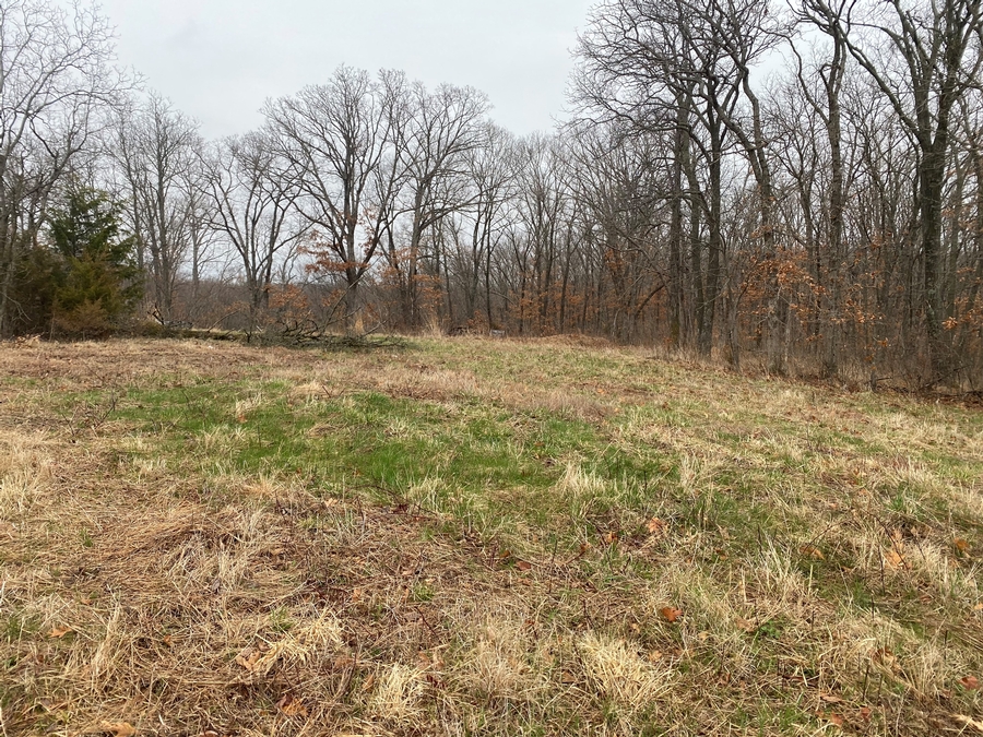 Land For Sale in Missouri Missouri Farm & Hunting Properties For Sale