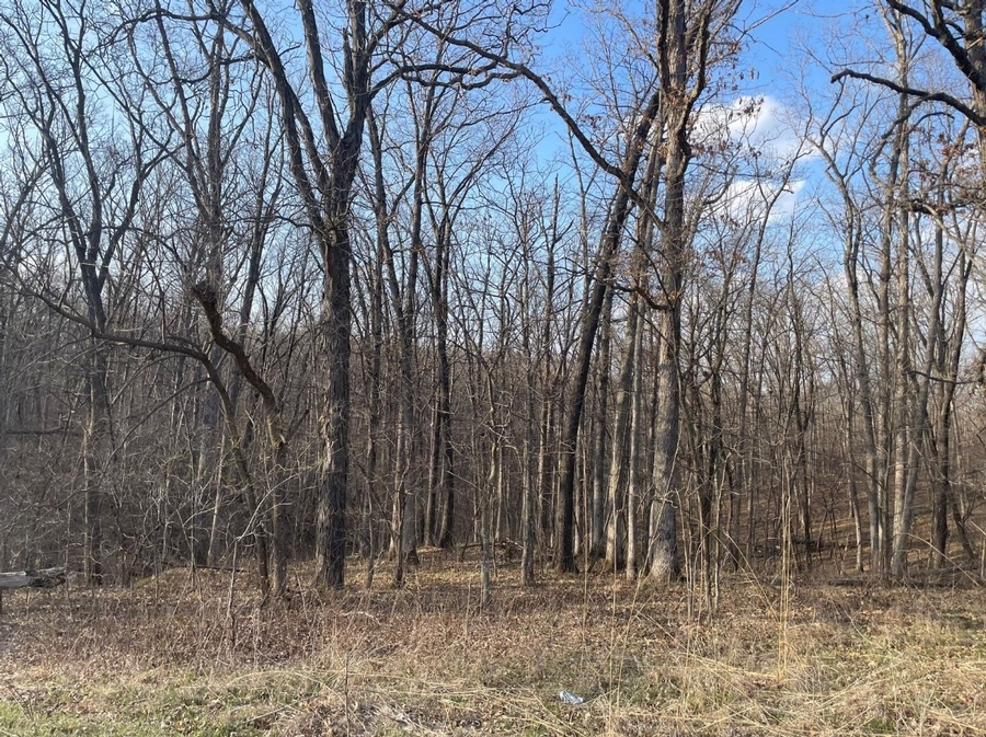 5 Acres Bethel Ridge Rd. Adair County, MO