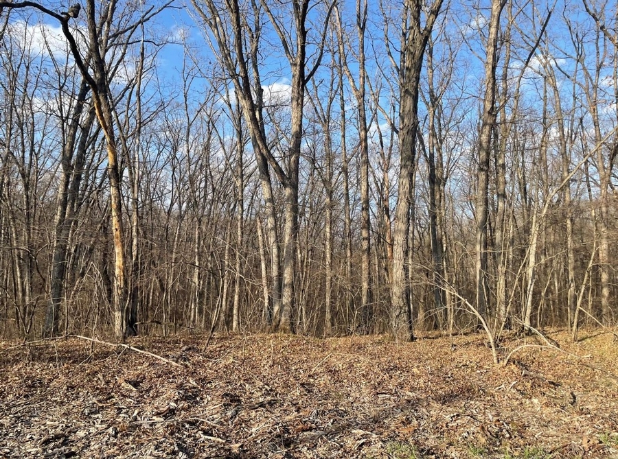 5 Acres Bethel Ridge Rd. Adair County, MO