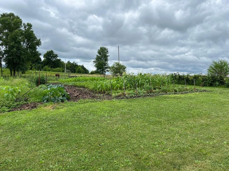 Home and 9.5 Acres Frontier Lane