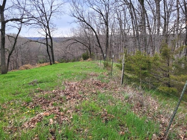 40 Acres 11953 Apollo Bucklin, MO