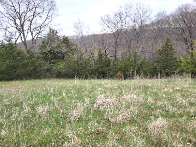 40 Acres 11953 Apollo Bucklin, MO