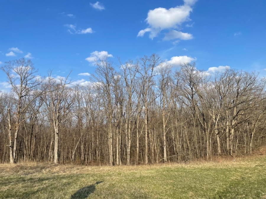 5.7 Acres 13230 State Hwy O Green Castle, MO