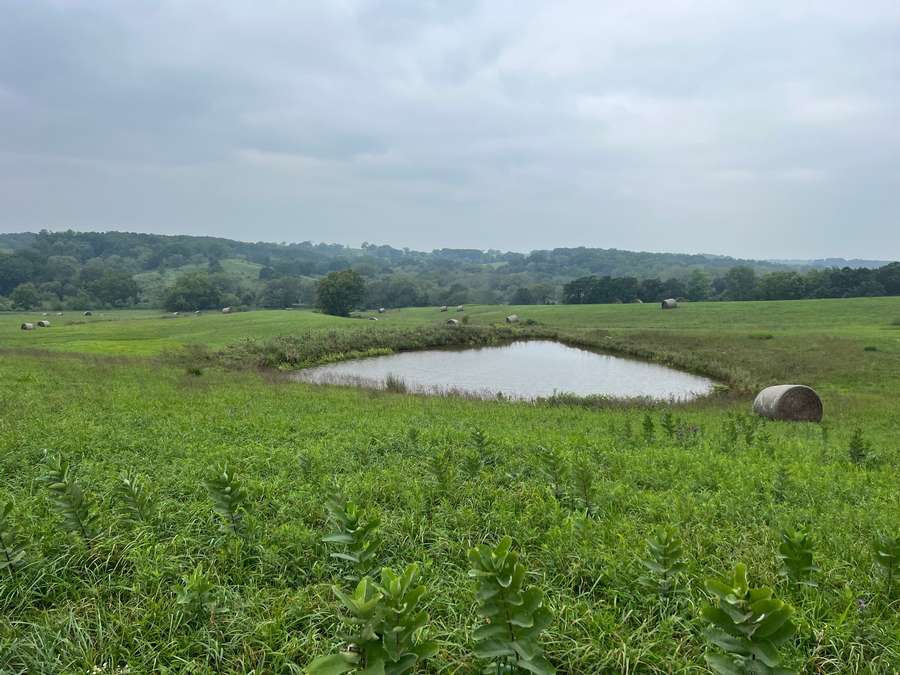 40 Acres in New Boston, MO