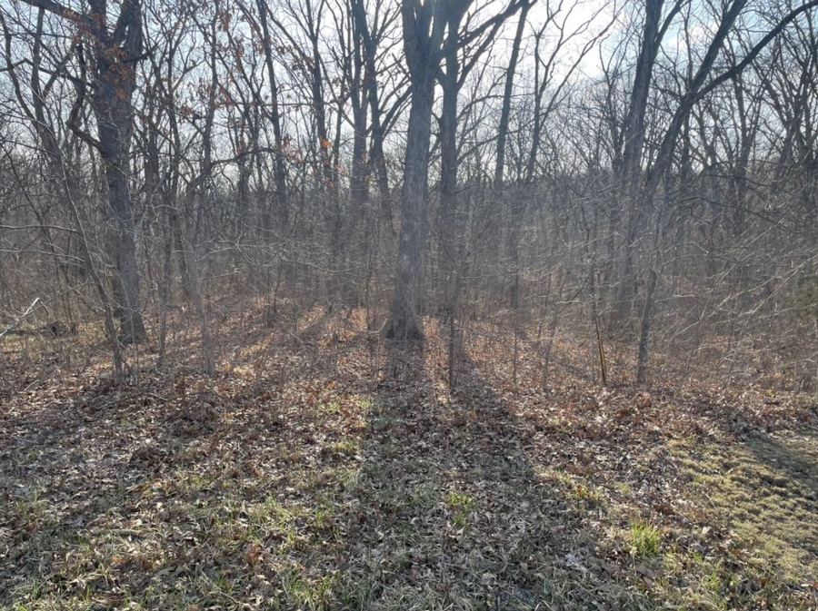 4.1 Acres Highway O, Green Castle, MO
