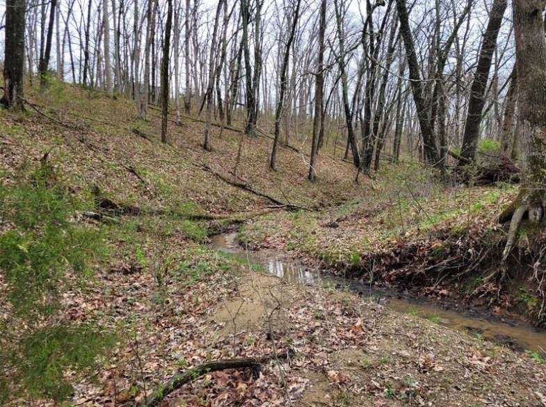 40 Acres 11953 Apollo Bucklin, MO