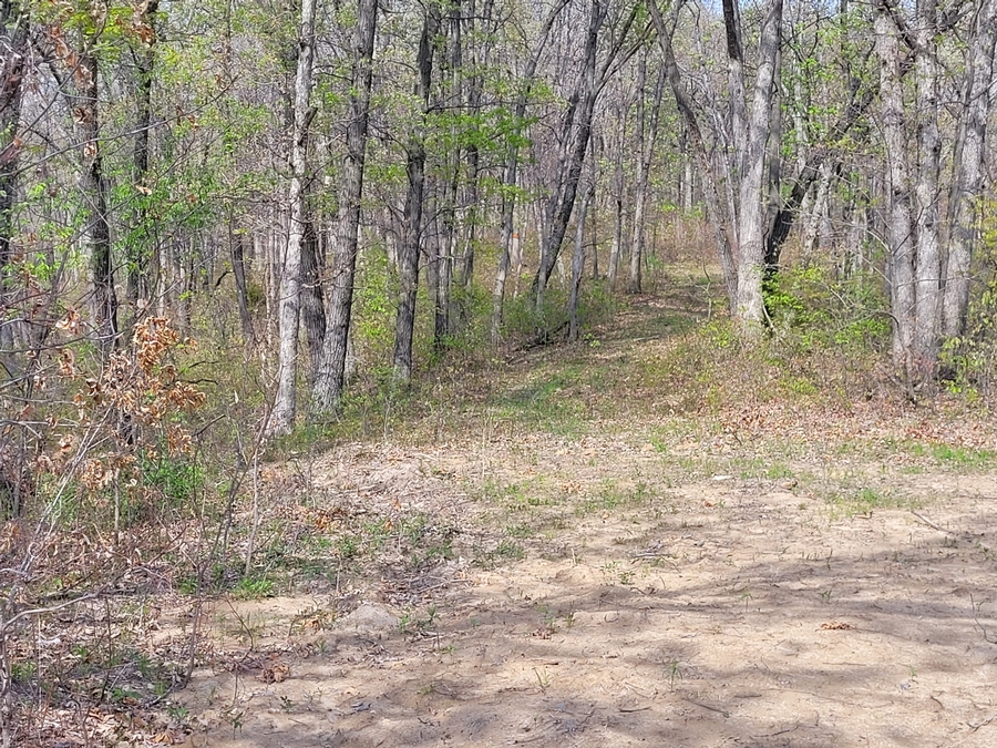 3.5 Acres in Elmer, MO