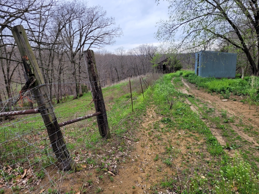 40 Acres 11953 Apollo Bucklin, MO