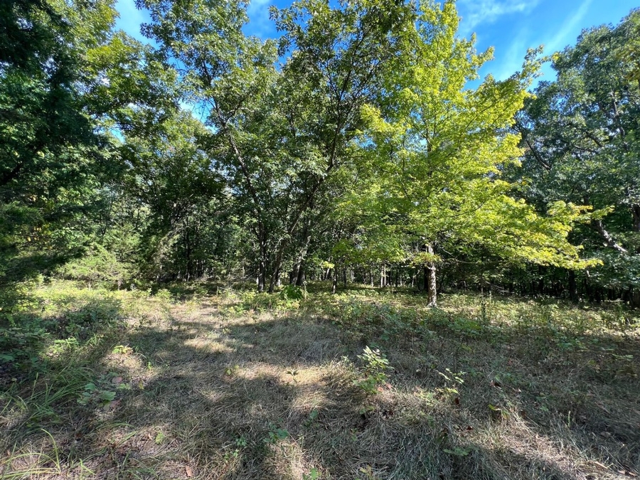 38 Acres County Rd. 2450 Huntsville, MO