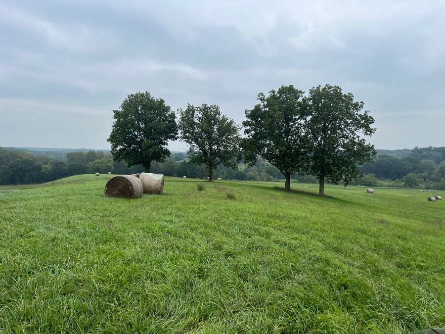 40 Acres in New Boston, MO