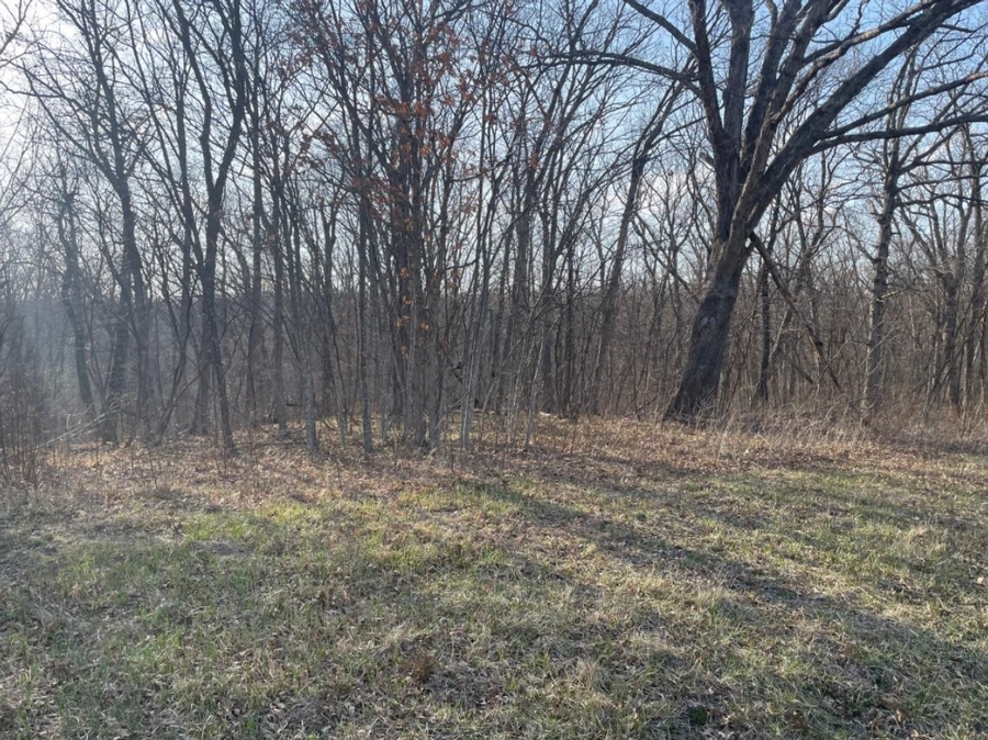 4.1 Acres Highway O, Green Castle, MO