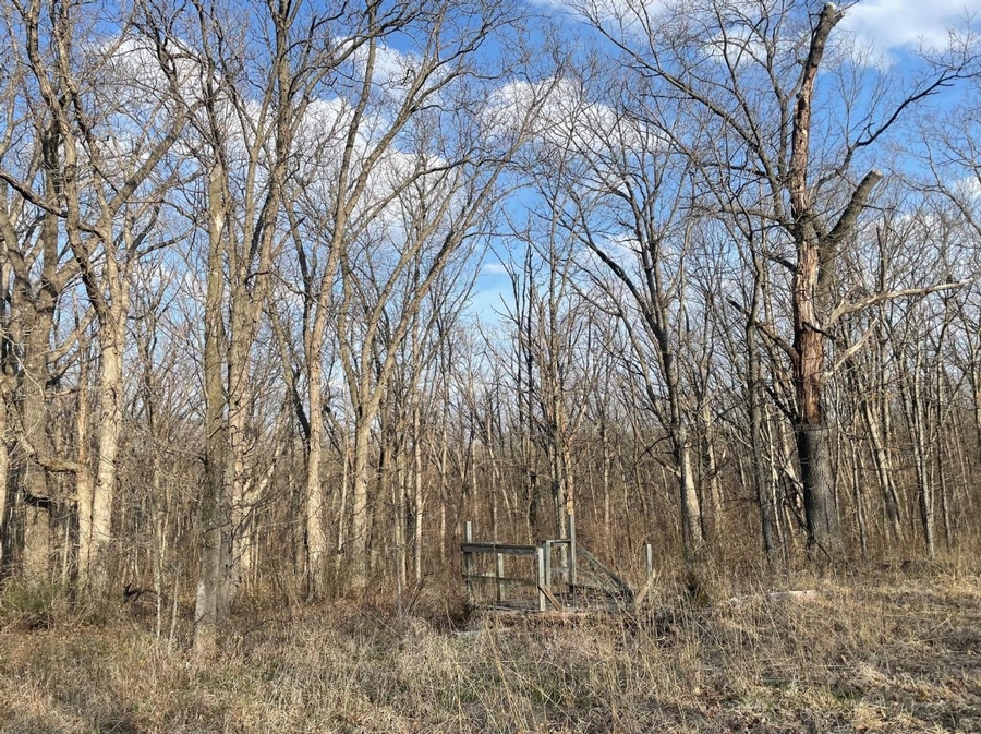 5.7 Acres 13230 State Hwy O Green Castle, MO