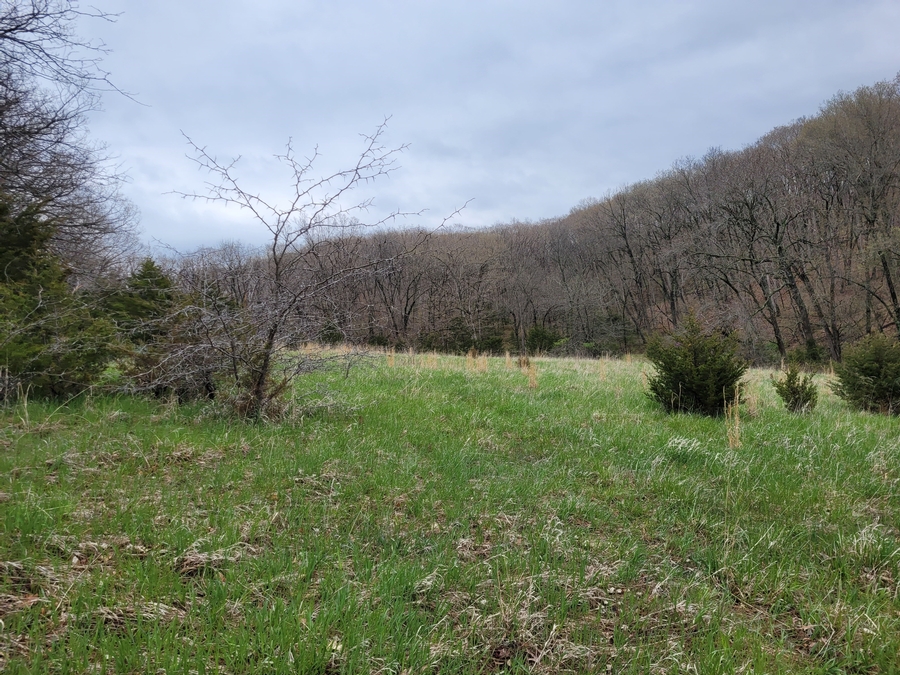40 Acres 11953 Apollo Bucklin, MO
