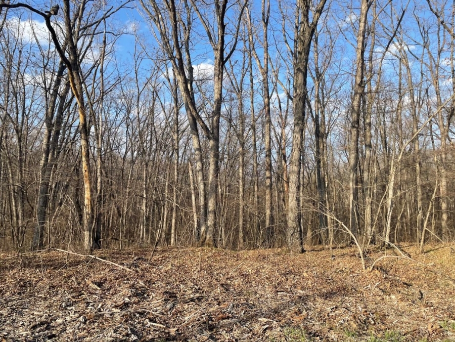 5.7 Acres 13230 State Hwy O Green Castle, MO