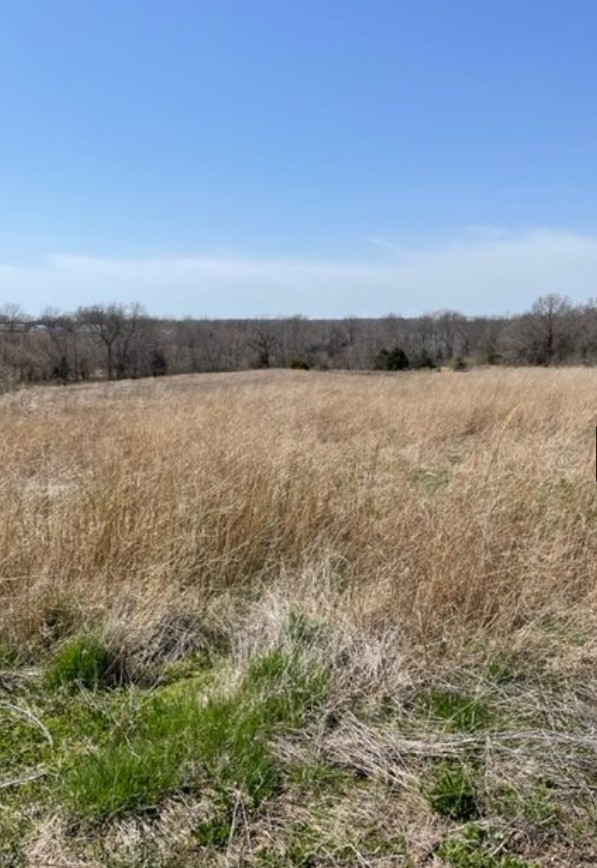 18 Acres Gazelle St. Excello, MO