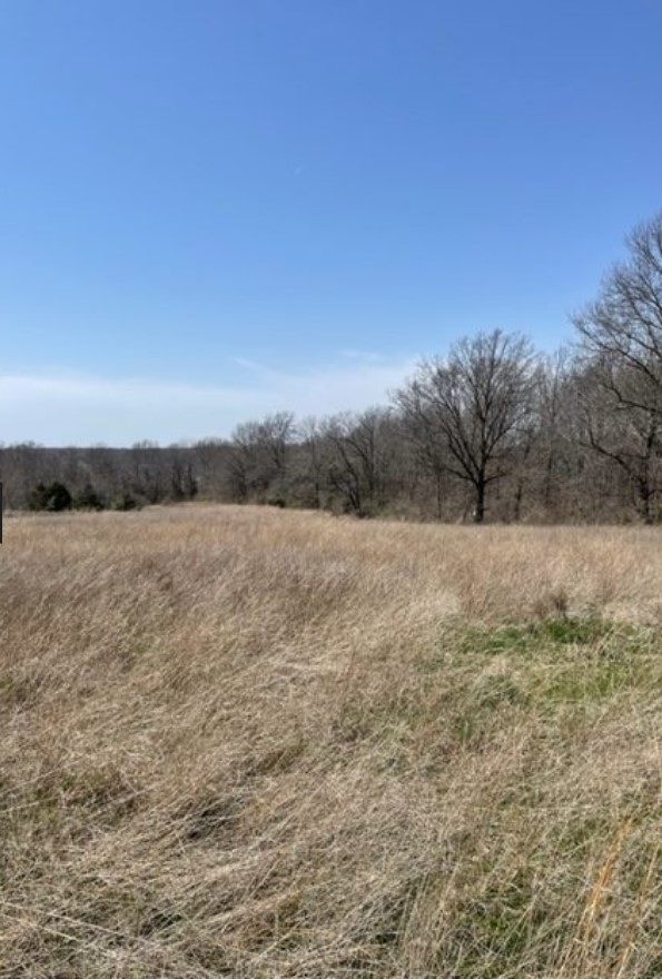18 Acres Gazelle St. Excello, MO