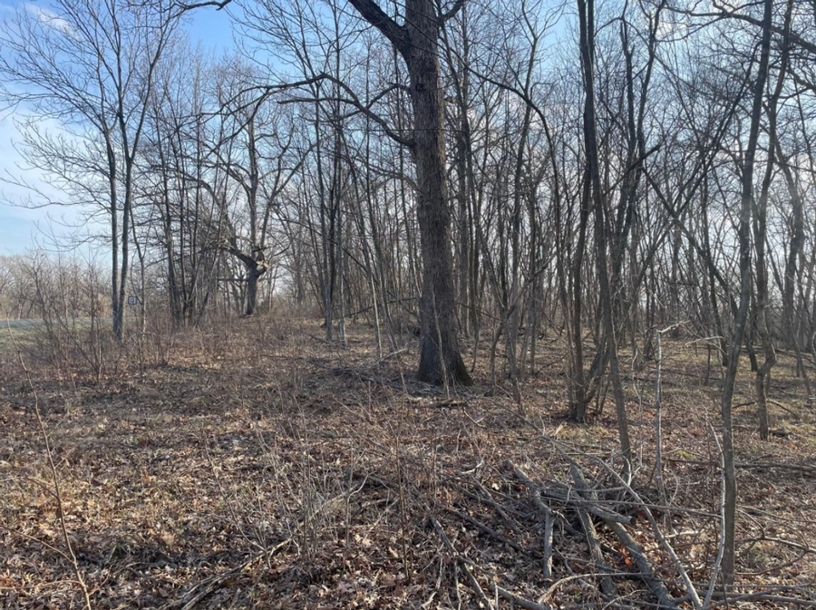 4.1 Acres Highway O, Green Castle, MO