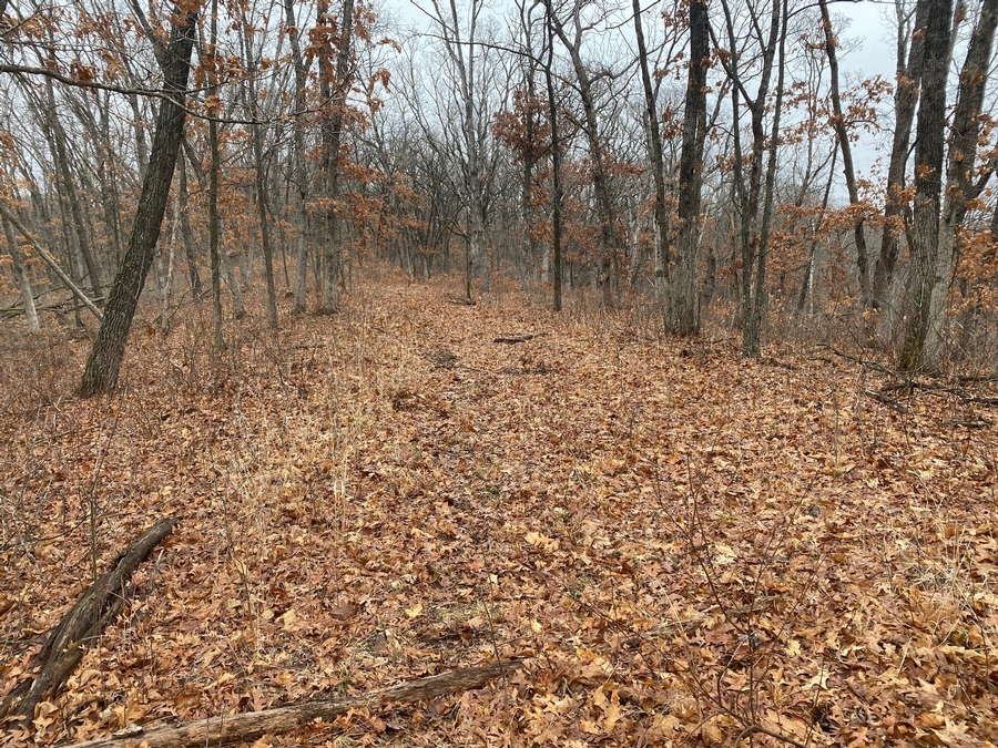 3.5 Acres in Elmer, MO