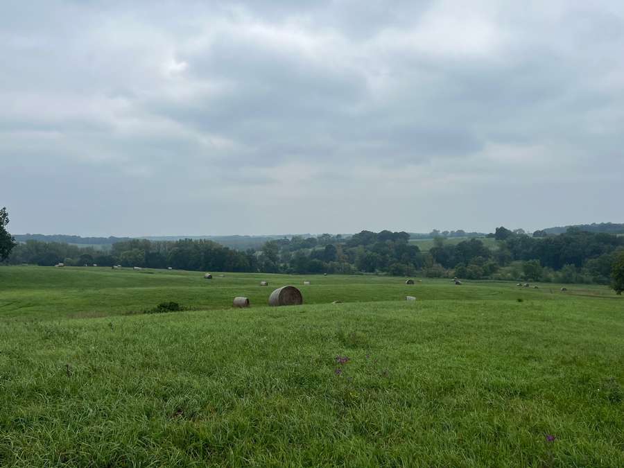 40 Acres in New Boston, MO