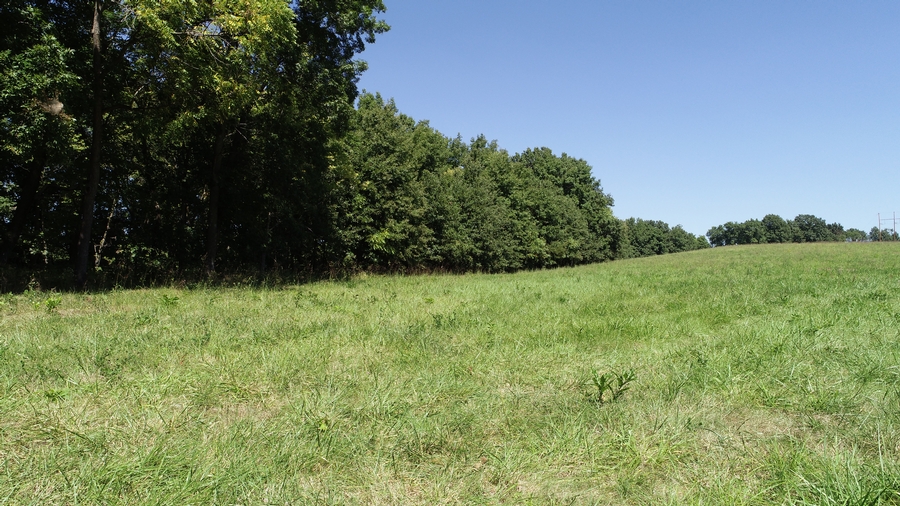 38 Acres Hamlet St. Excello, MO