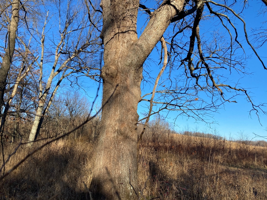 Atlanta MoHighway J20 Acres!!