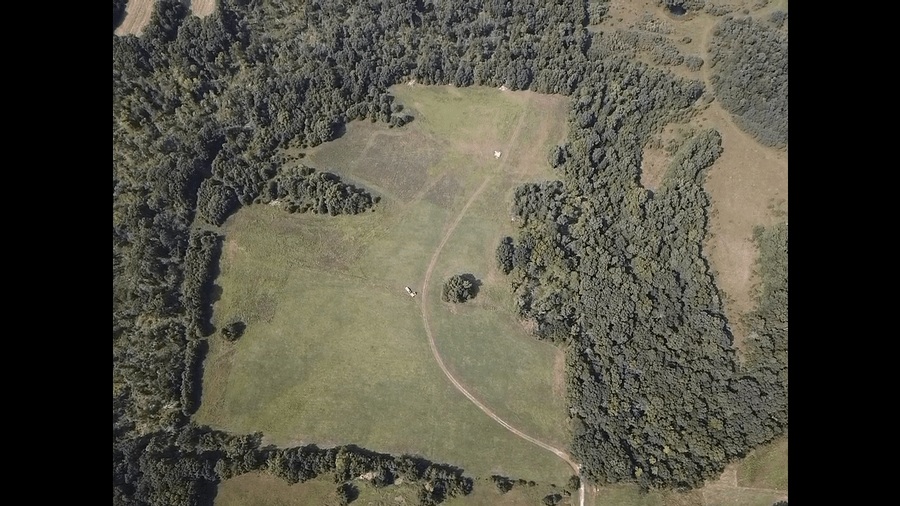 95 Acres Clarence, Shelby County, MO