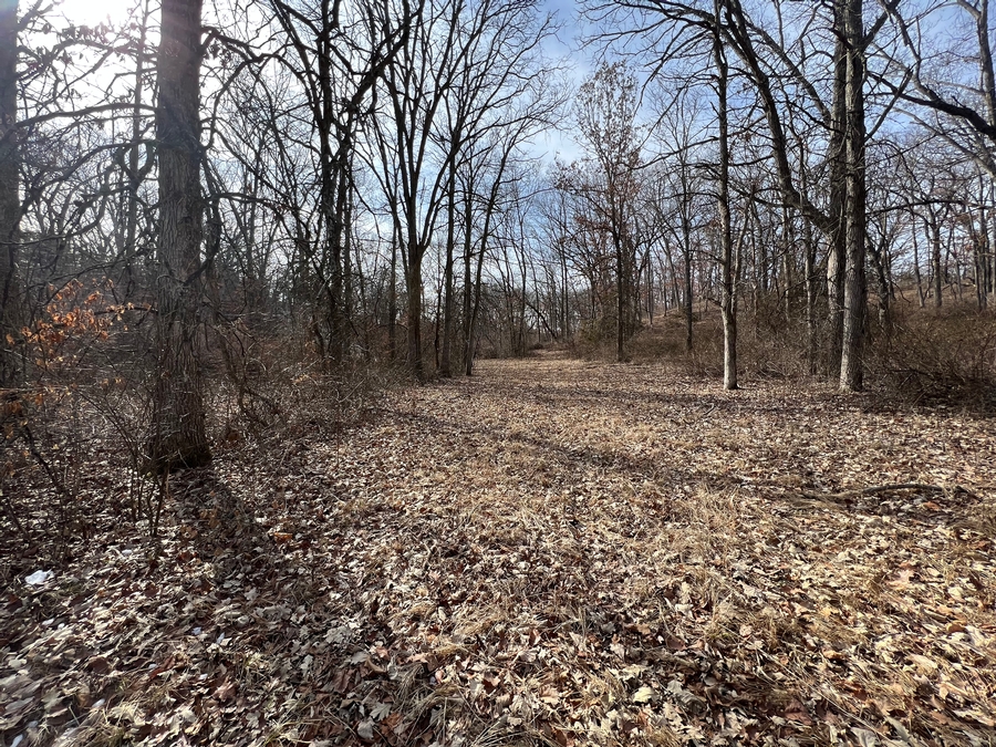 **ADAIR COUNTY 60 ACRE HUNTING LAND AUCTION**