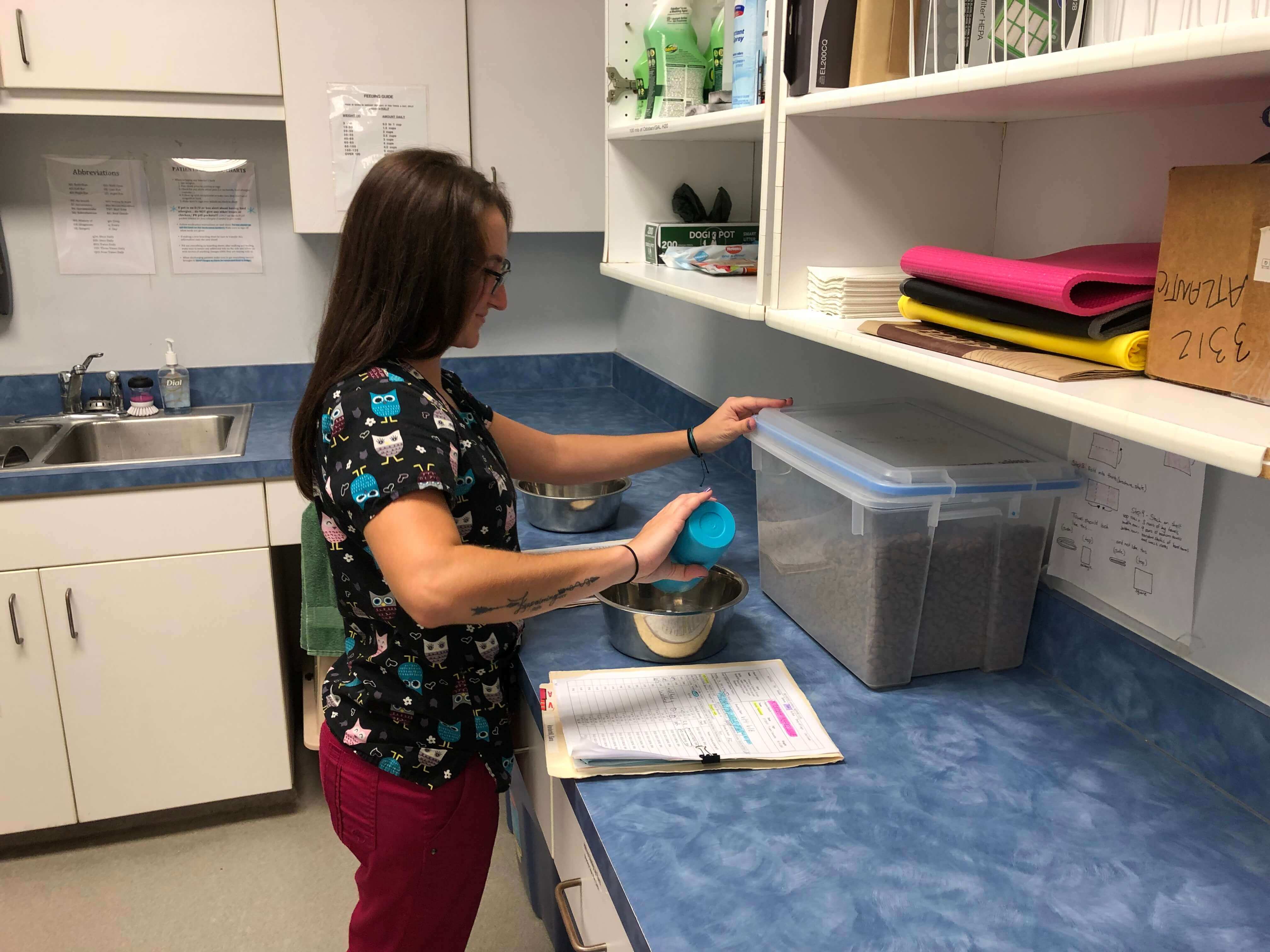 Pet Boarding Near 34109 North Naples Veterinary Hospital Naples, FL