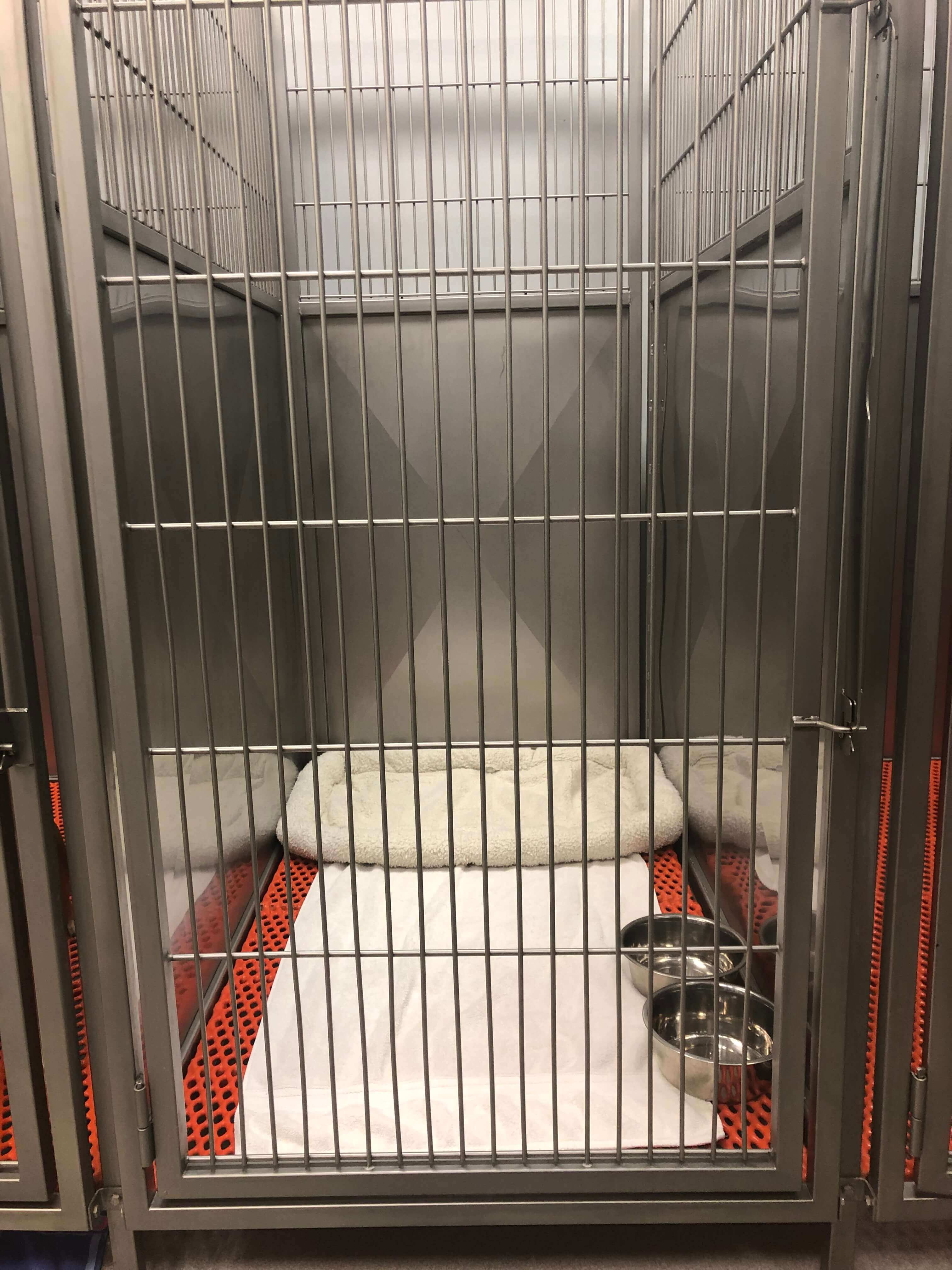 Pet Boarding Near 34109 North Naples Veterinary Hospital