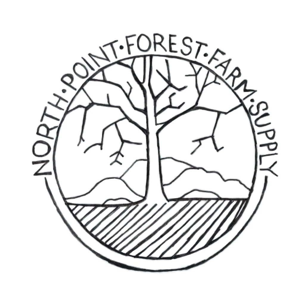 How to Plant and Protect Your Trees North Point Forest Farm Supply