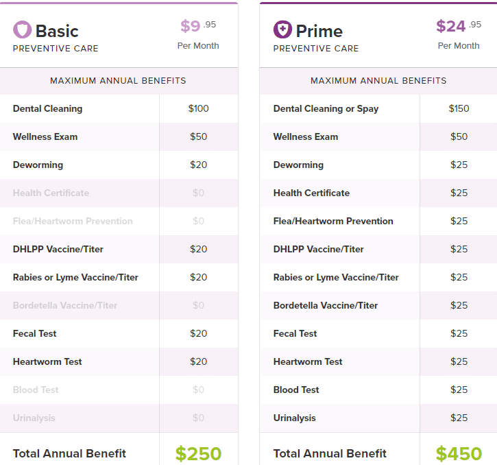 PET INSURANCE WHAT IS IT? DO I NEED IT? North Point IG
