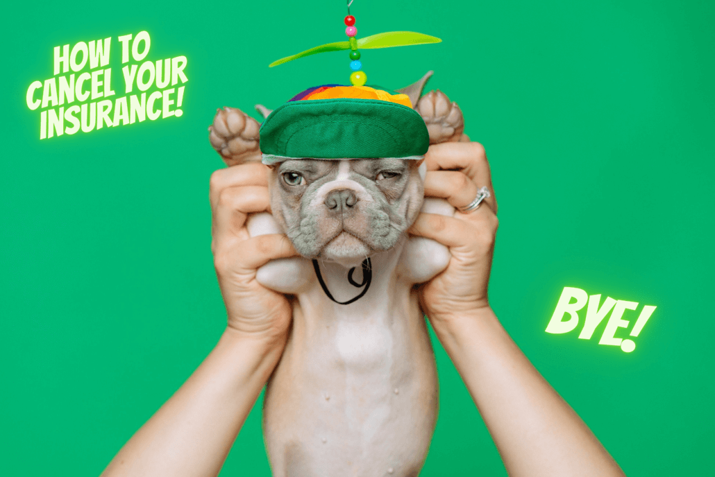 How to Cancel My Insurance FAQs North Point Insurance Group