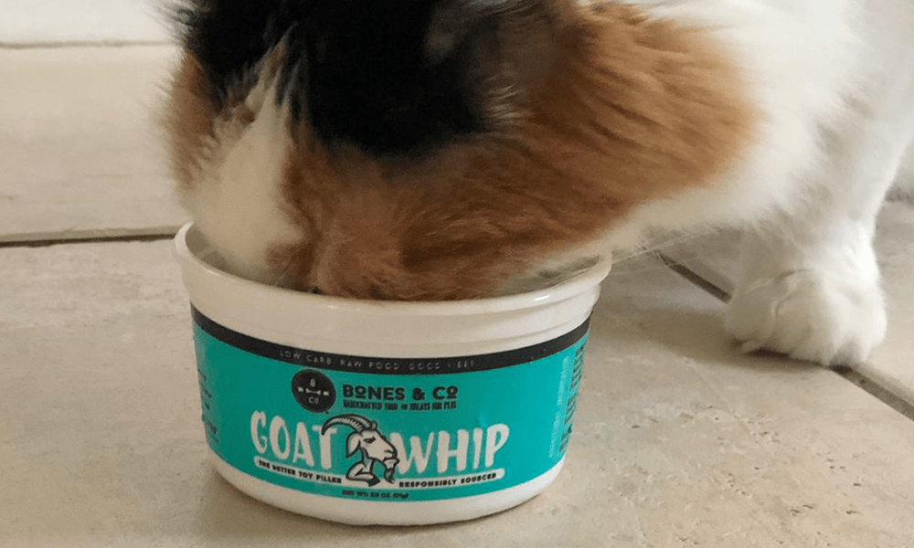 Goat Milk Whipped Cream A (Nutritious) Decadent Treat NorthPoint Pets