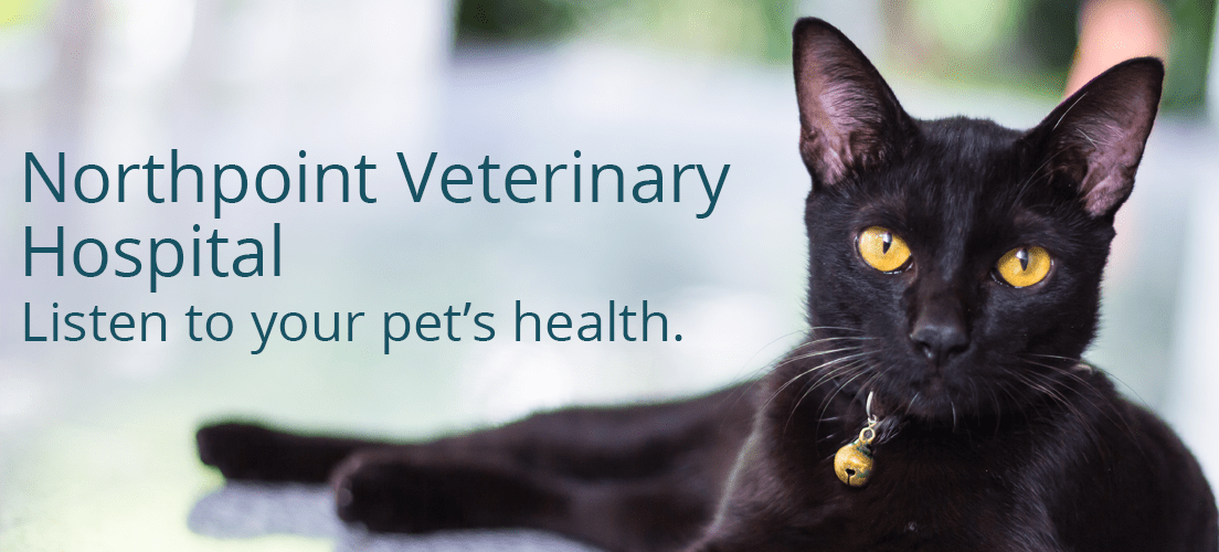 Northpoint Vet Bolton, Ontario Home