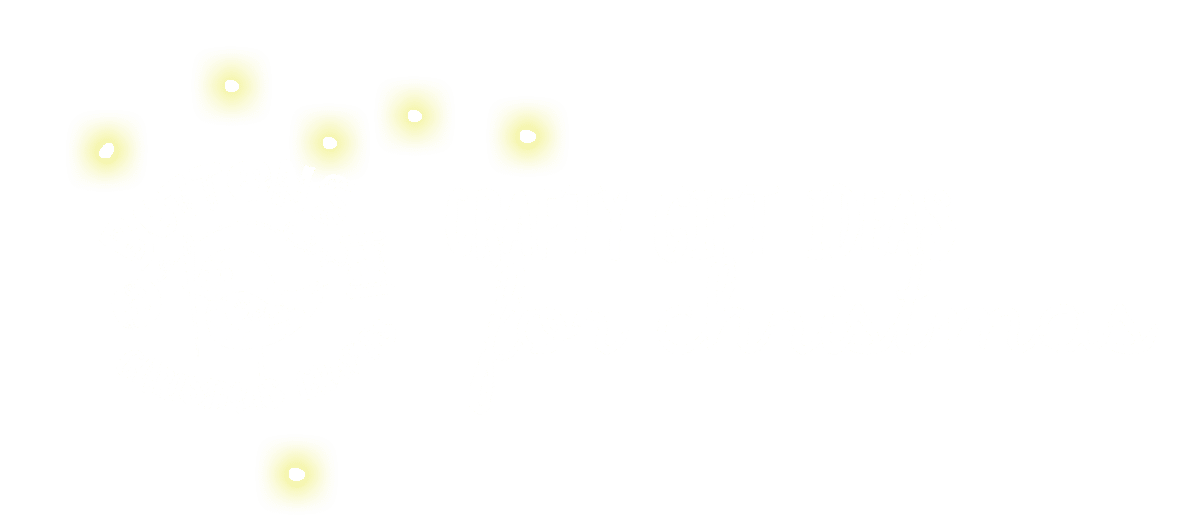 Cork North Pole Experience Christmas 2019