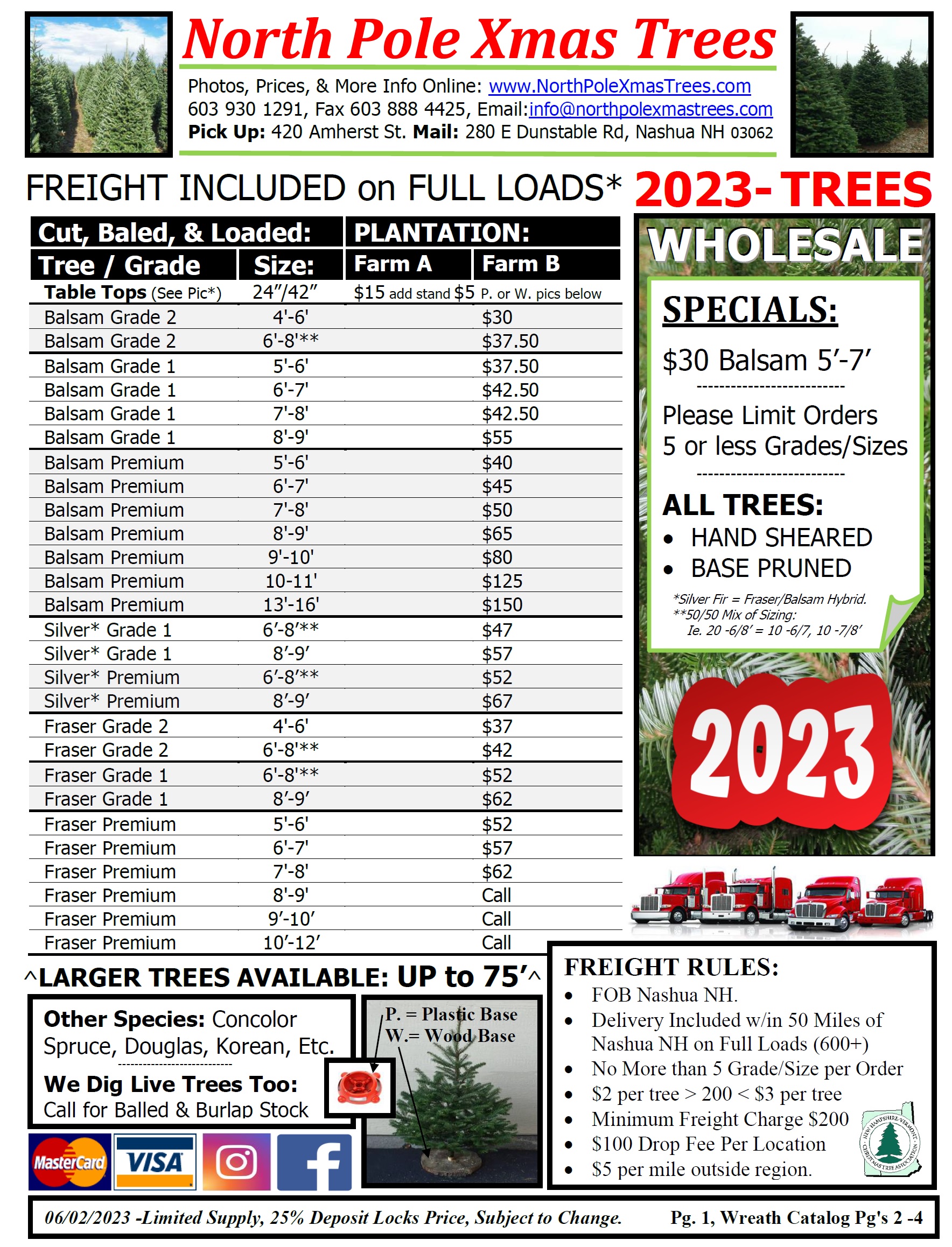 Wholesale Christmas Tree Pricing