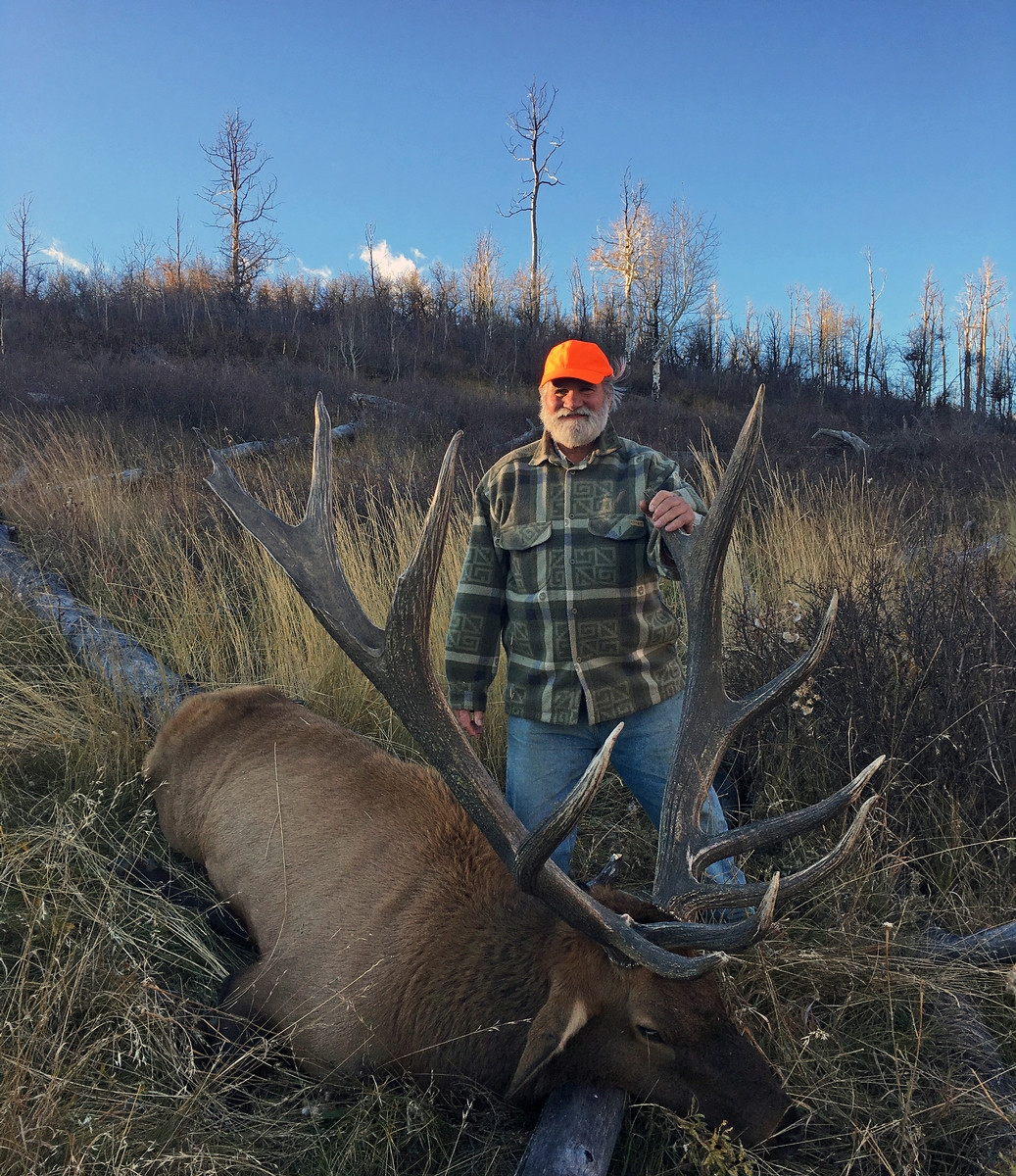 Colorado Trophy Elk Hunts High Fence Hunting Ranch Guaranteed Elk Hunts