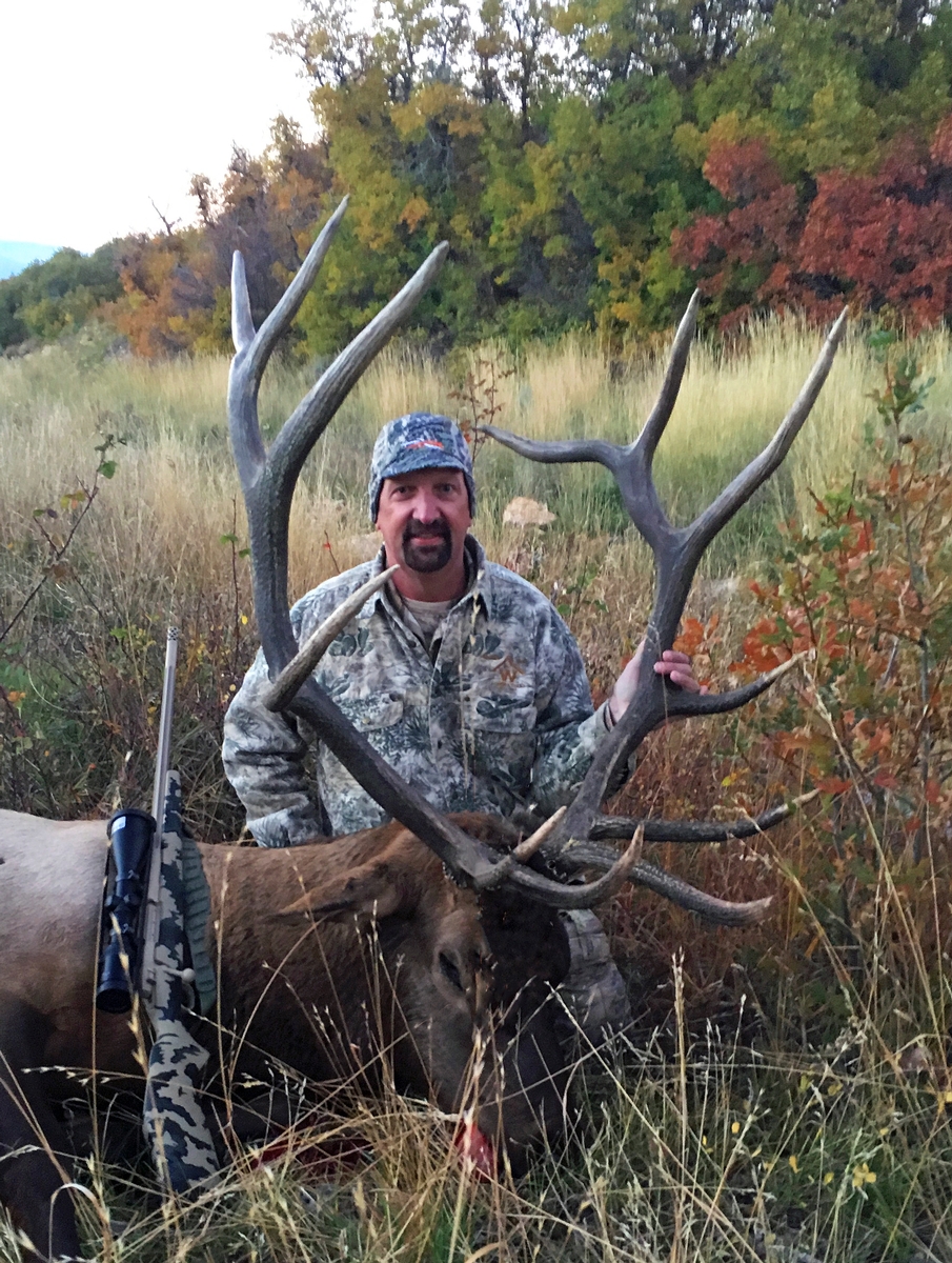 Colorado Trophy Elk Hunts High Fence Hunting Ranch Guaranteed Elk Hunts