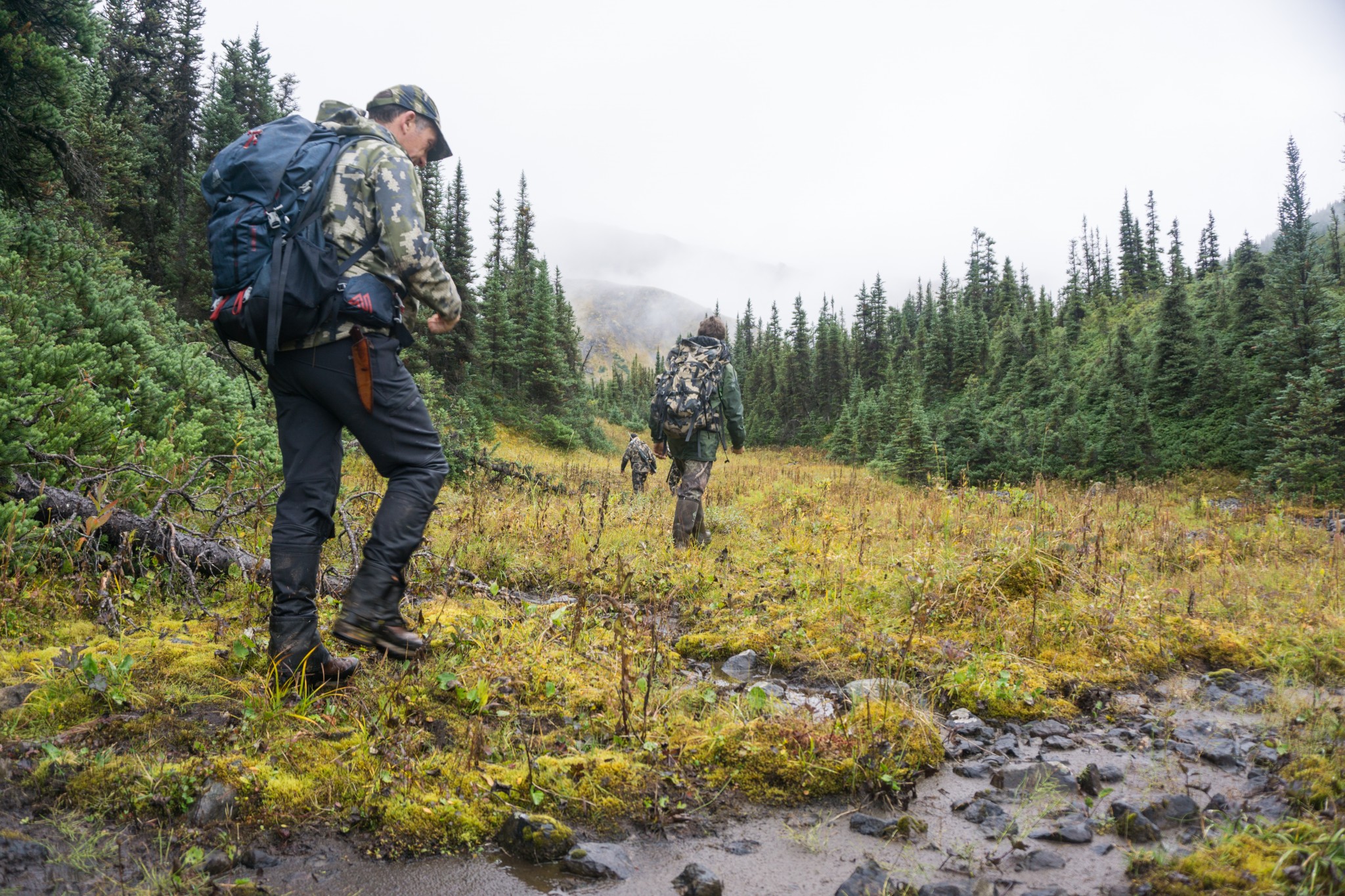 British Columbia Hunting Season Update North River Outfitting